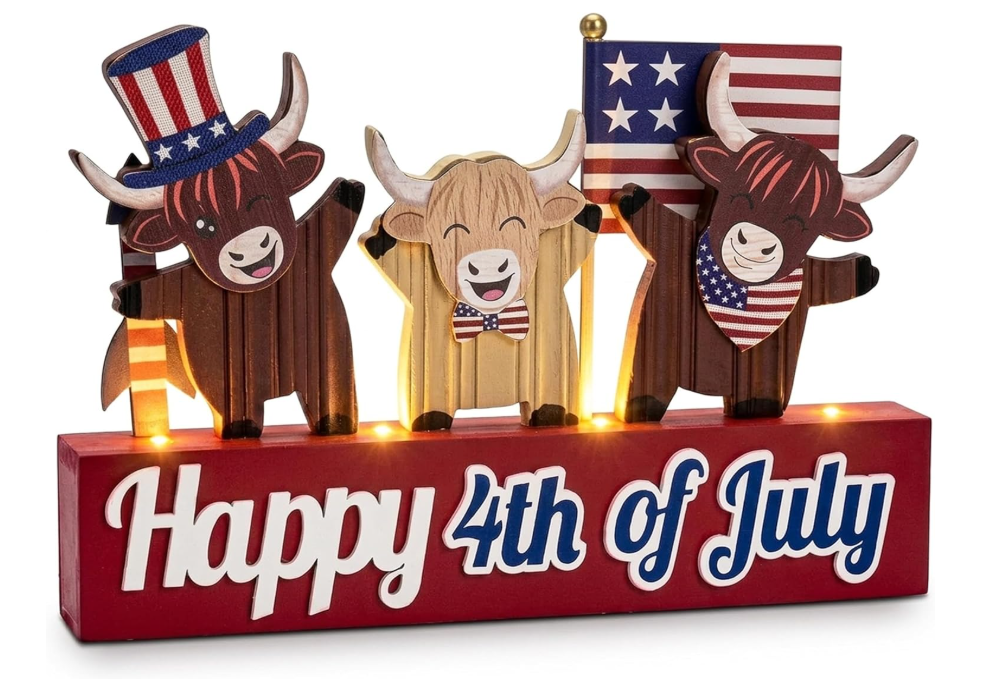 4th of July Decorations with LED Light